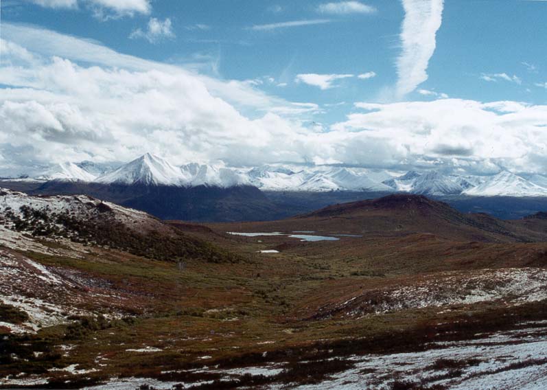 Helii-hiking at Denali 2.jpg 73.7K